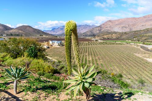 0140BC
